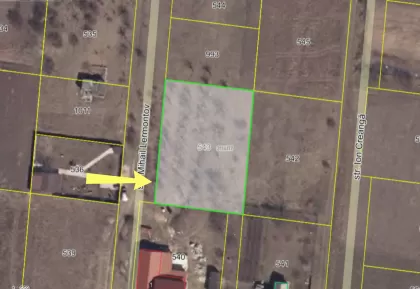 s. Balțata, Criuleni, mun. Chișinău image 234055