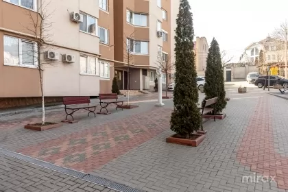 str. Dimineții, Botanica imaginea 235225