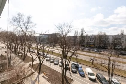 bd. Dacia, Botanica, Chișinău image 209645