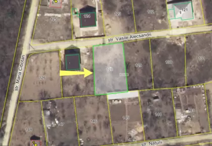 s. Merenii Noi, Anenii Noi image 238932