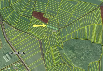 com. Colonița, mun. Chișinău image 205535