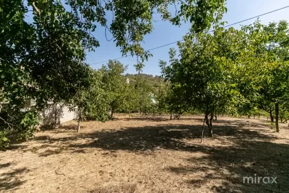 s. Peresecina, Orhei, mun. Chișinău image 234100