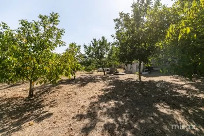 s. Peresecina, Orhei, mun. Chișinău image 234101