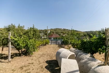 s. Peresecina, Orhei, mun. Chișinău image 234103