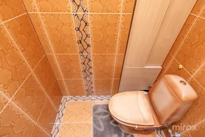 бул. Мирча чел Бэтрын, Чоканы изображение 235312