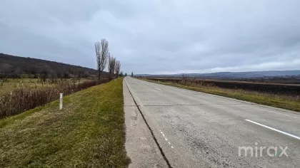 s. Hoginești, Călăraș, Moldova imaginea 197682
