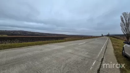 s. Hoginești, Călăraș, Moldova imaginea 197683