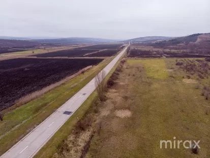 s. Hoginești, Călăraș, Moldova imaginea 197678
