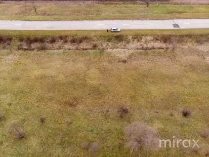 s. Hoginești, Călăraș, Moldova imaginea 197677