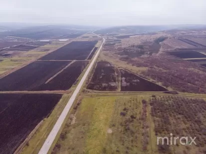 s. Hoginești, Călăraș, Moldova imaginea 197690