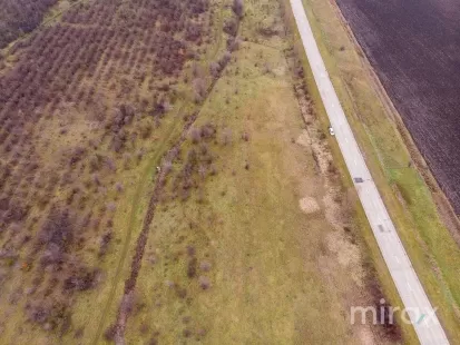 s. Hoginești, Călăraș, Moldova imaginea 197693