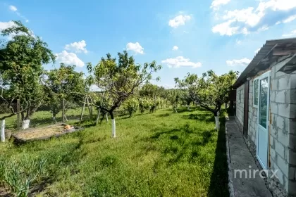 str. Morilor, s.Sireti, Straseni image 223577