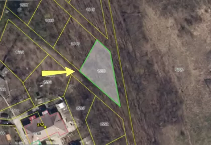 str. Codrilor, Durlești, Chișinau imaginea 240379