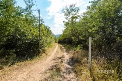 s. Malcoci, Ialoveni, mun. Chișinău imaginea 229761