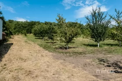 s. Malcoci, Ialoveni, mun. Chișinău imaginea 229755