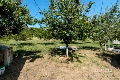 s. Malcoci, Ialoveni, mun. Chișinău imaginea 229756