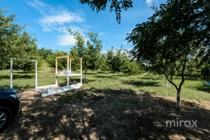 s. Malcoci, Ialoveni, mun. Chișinău imaginea 229757