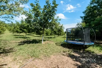 s. Malcoci, Ialoveni, mun. Chișinău imaginea 229758