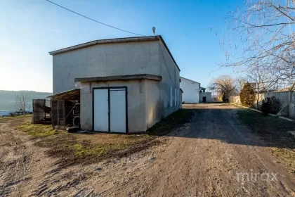 s. Cobușca Veche, Anenii Noi, Moldova image 138458