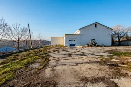 s. Cobușca Veche, Anenii Noi, Moldova image 138461