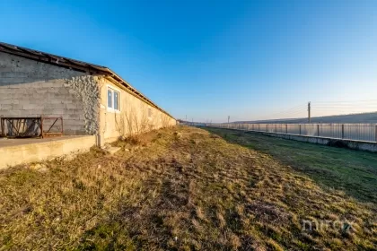 s. Cobușca Veche, Anenii Noi, Moldova image 138494