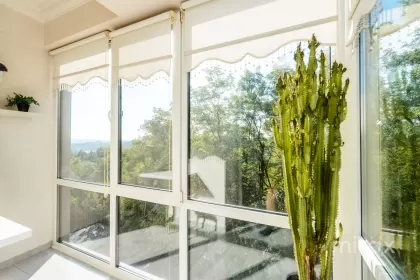 str. Valea Crucii, Botanica image 235430