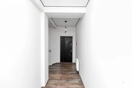 str. N. Testemițanu, Centru, Chișinău imaginea 240413