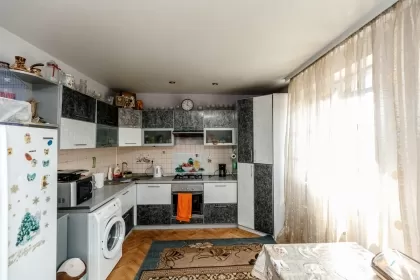 s. Mereni, Anenii Noi, mun. Moldova imaginea 235444