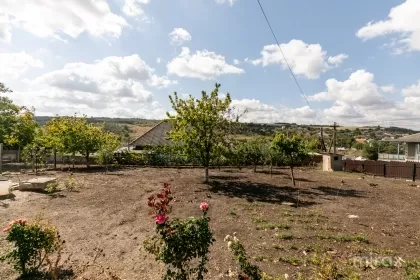 s. Mereni, Anenii Noi, mun. Moldova imaginea 235457