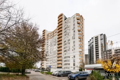 ул. Грэдина Ботаника, Ботаника изображение 239183