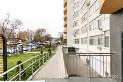 ул. Грэдина Ботаника, Ботаника изображение 239185