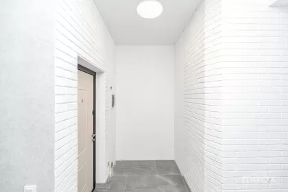 ул. Грэдина Ботаника, Ботаника изображение 239193