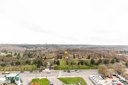 ул. Грэдина Ботаника, Ботаника изображение 239197