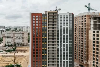 ул. Диминеций, Ботаника, Кишинев изображение 232768