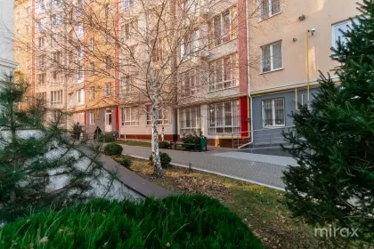 str. Sprâncenoaia, Telecentru, Chișinău image 199264
