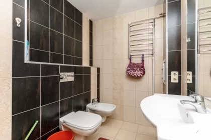 bd. Alba Iulia, Buiucani, Chișinău imaginea 240579