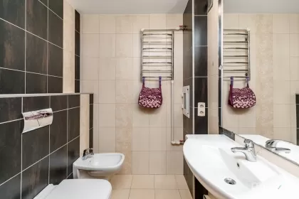 bd. Alba Iulia, Buiucani, Chișinău imaginea 240580