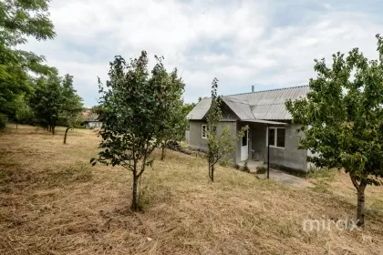 str. Luceafărul, Sângera, mun. Chișinău image 226052