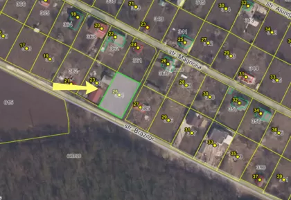 str. Brazilor, Orhei imaginea 236796