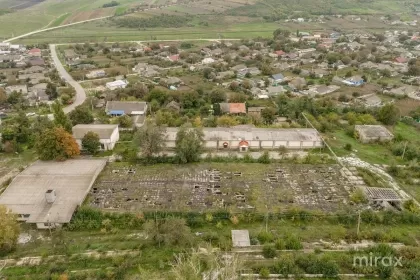 s. Geamăna, Anenii Noi, Moldova image 219848
