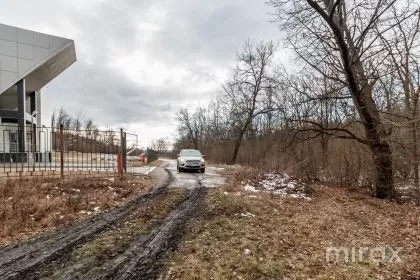 Poienița Vesela, Ialoveni image 69601