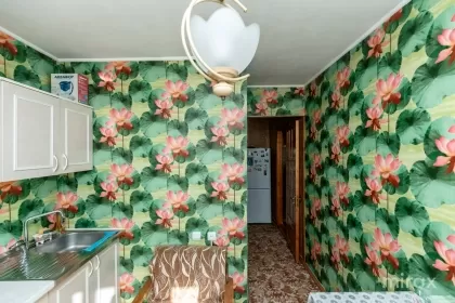 str. Nicolae Titulescu, Botanica, mun. Chișinău image 208648