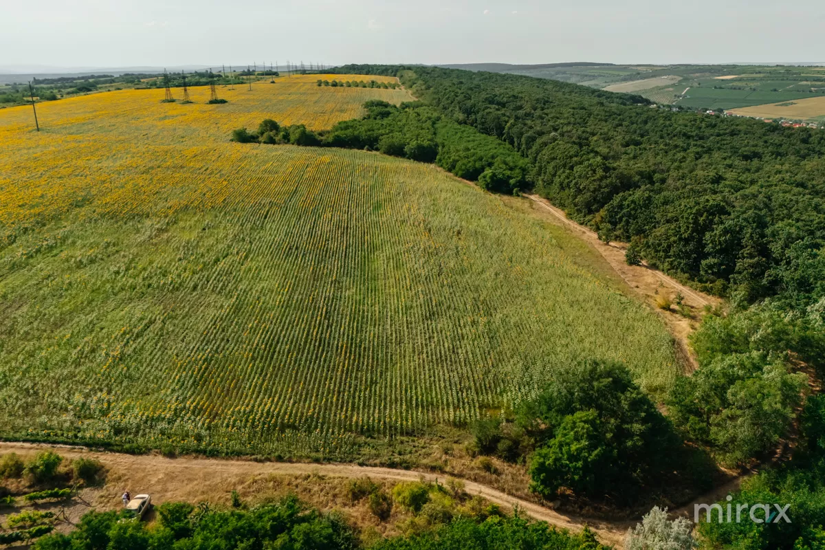 s. Hulboaca, Ghidighici, mun. Chișinău