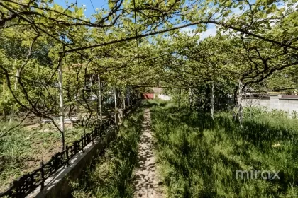 str.Vasile Alecsandri, Strășeni, mun. Chișinău image 222582