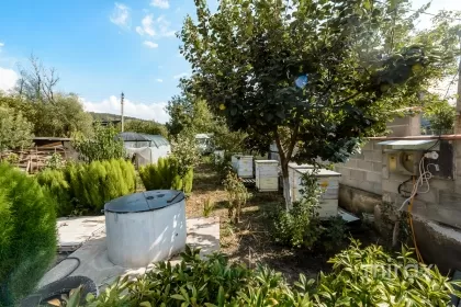 str. Vasile Alecsandri, Strășeni image 234507