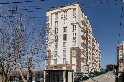 str. Alexandru cel Bun, Ialoveni, mun. Chișinău image 213297