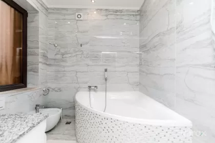 ул. Примар Герман Пынтя, Рышкань изображение 240719