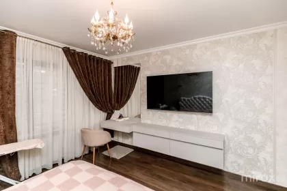 ул. Примар Герман Пынтя, Рышкань изображение 240713