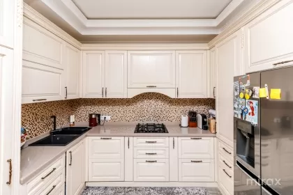 ул. Примар Герман Пынтя, Рышкань изображение 240706