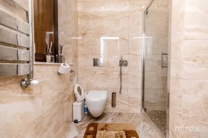 ул. Примар Герман Пынтя, Рышкань изображение 240718